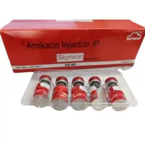 Skymicin 500mg Injection 2ml