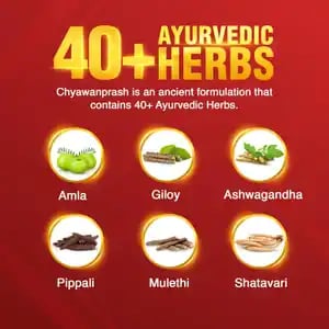 Dabur Chyawanprash 500gm