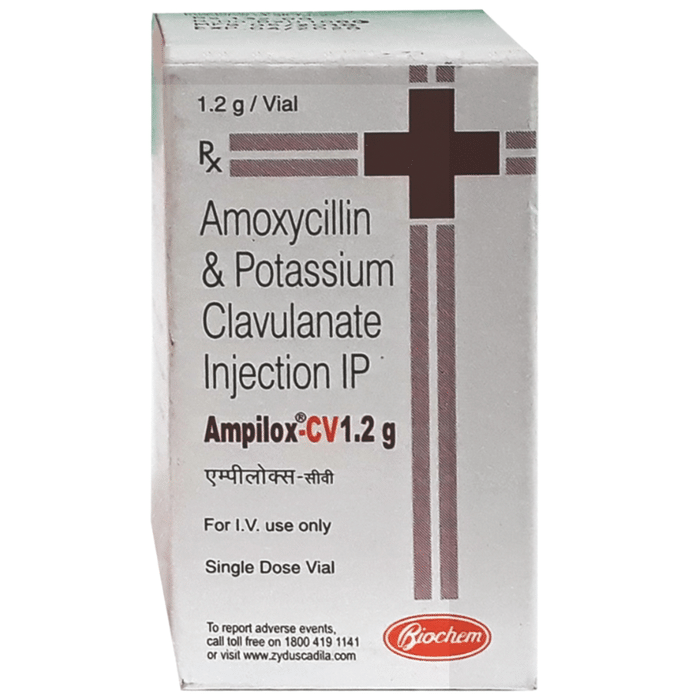 Ampilox CV 1000 mg/200 mg Injection