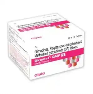 Okamet GMP Tablet SR 10s