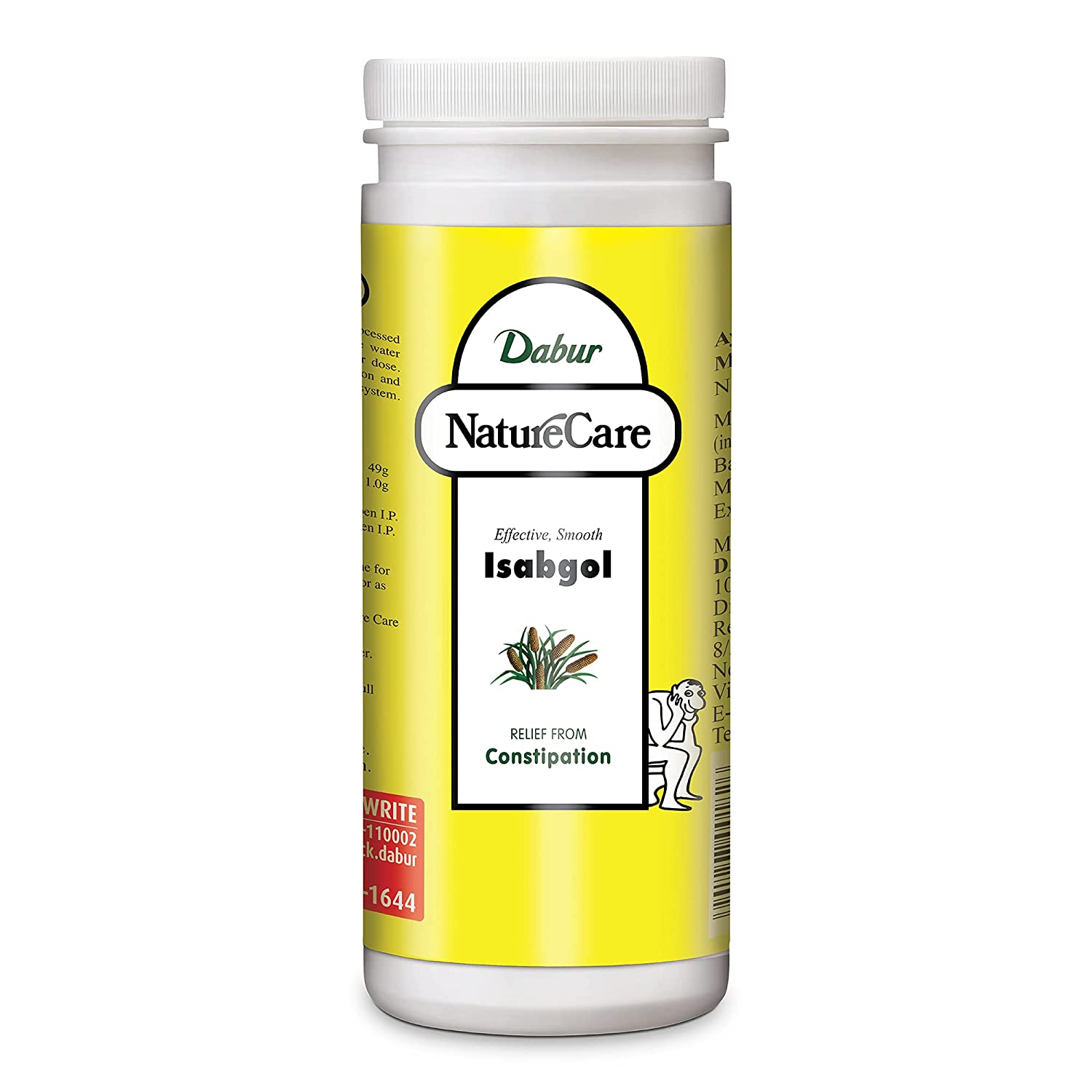 Dabur Nature Care Isabgol Regular 375gm